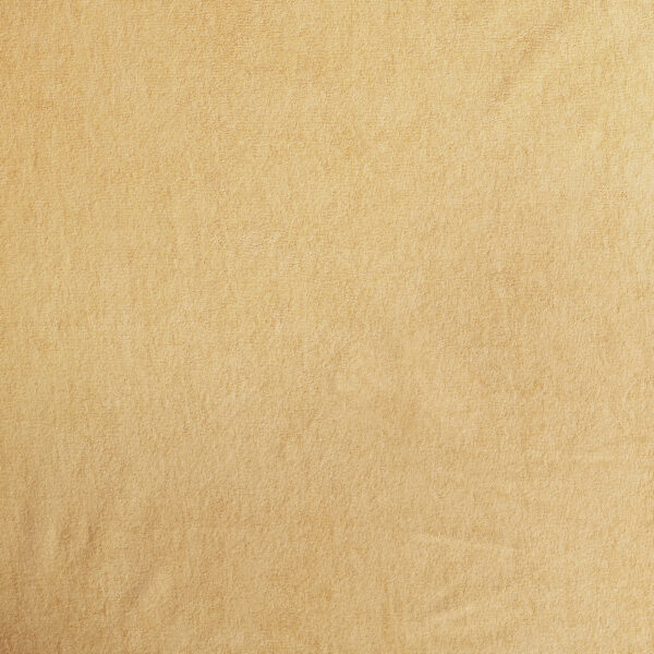 Terry Cloth Mattress Protector | Breathable Hypoallergenic Mattresses Cover | Ultra Soft Waterproof Mattress Protector (72x78in_Beige)