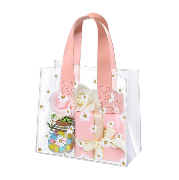 transparent gift bag1